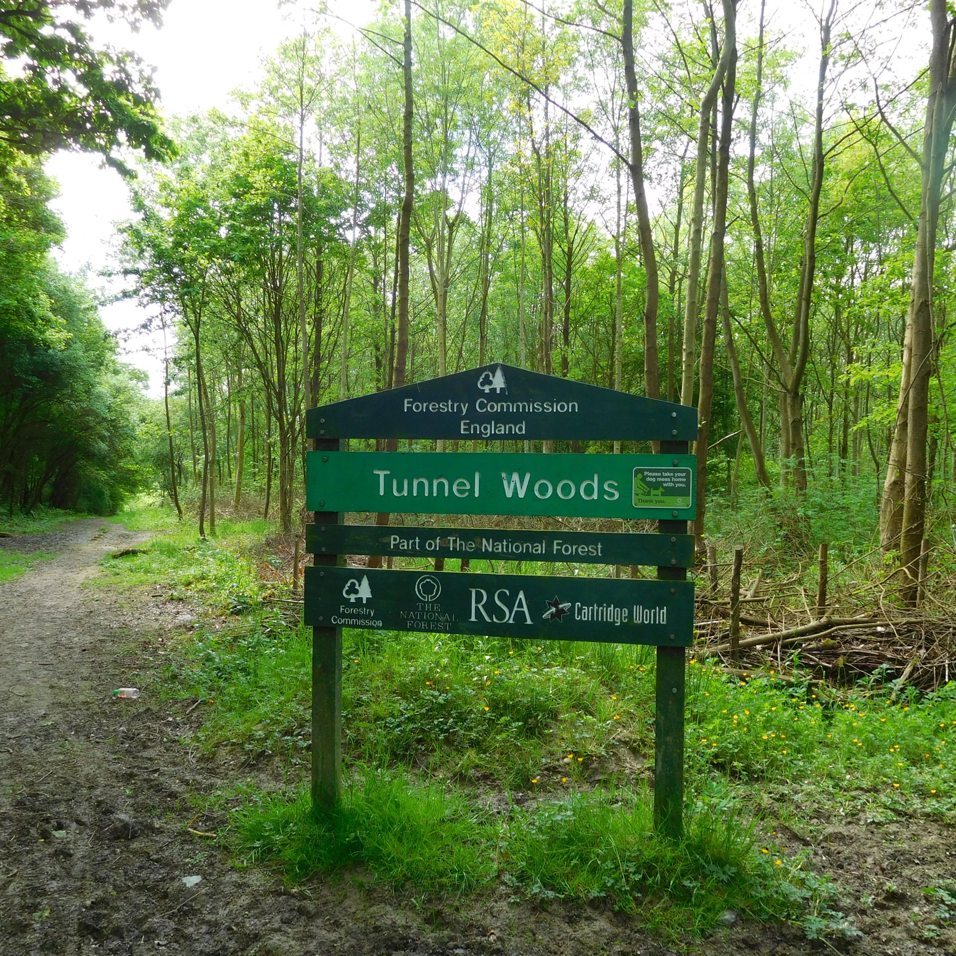 Tunnel Woods